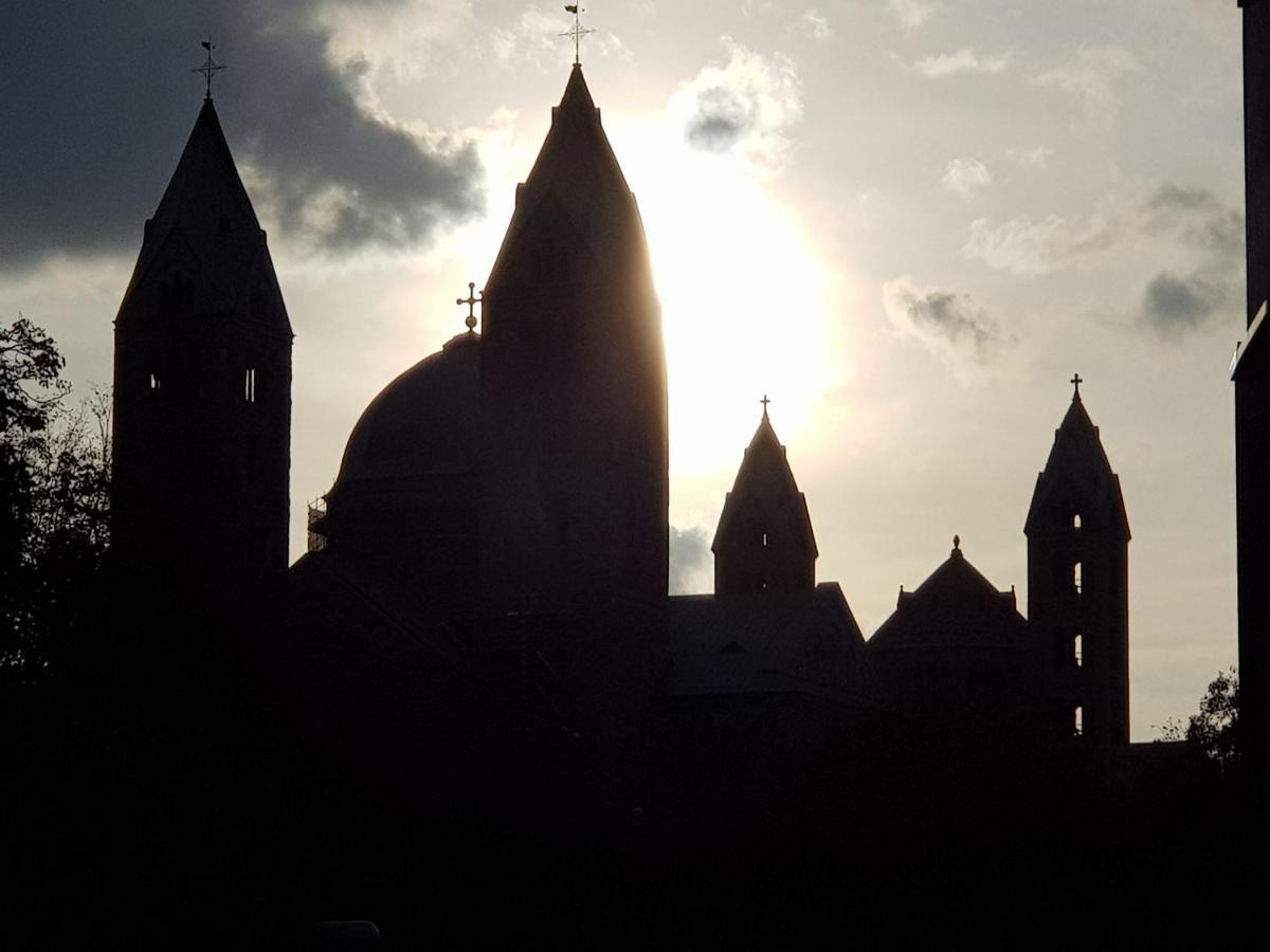 Апартаменты Wohnen Direkt Am Rhein, Zentrums- Und Domnah, 55Qm Шпейер Экстерьер фото