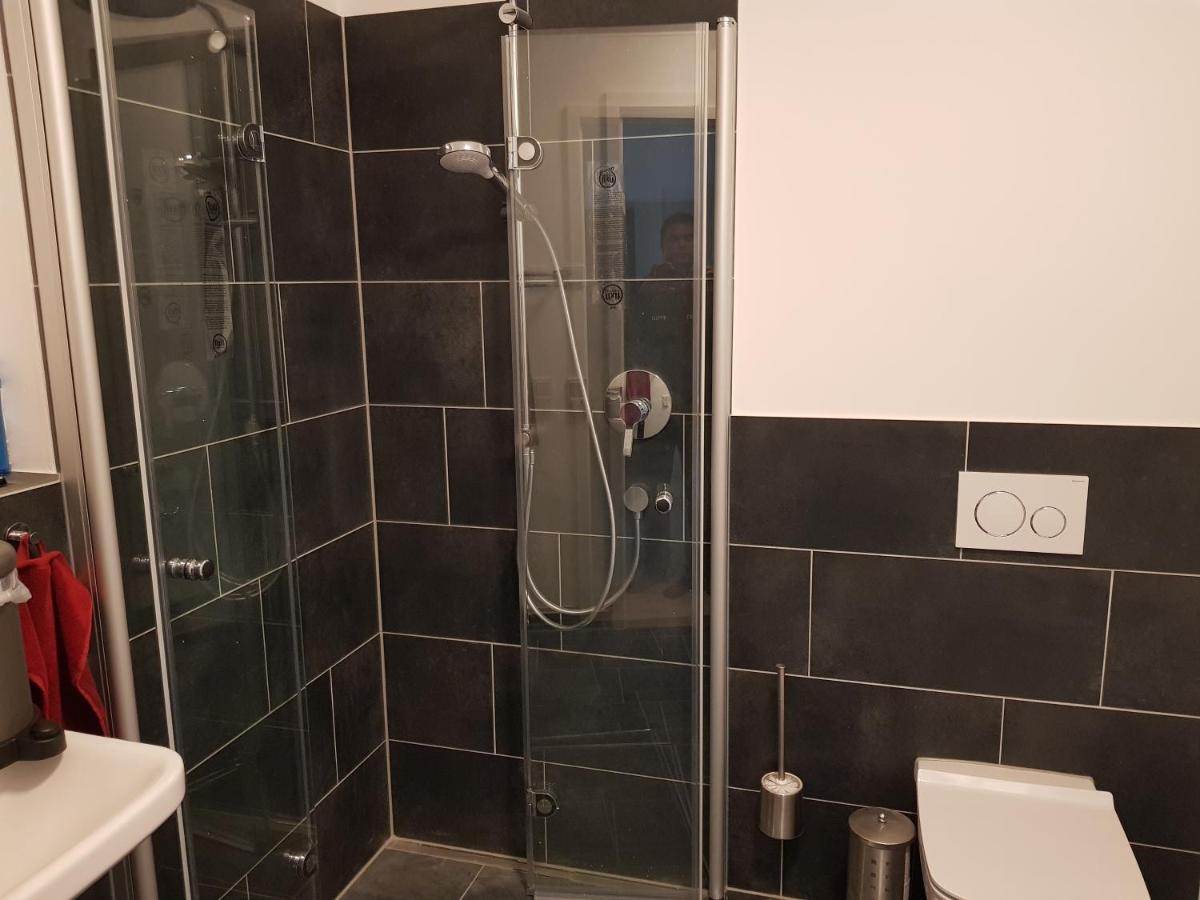 Апартаменты Wohnen Direkt Am Rhein, Zentrums- Und Domnah, 55Qm Шпейер Экстерьер фото