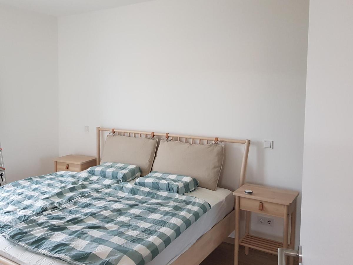 Апартаменты Wohnen Direkt Am Rhein, Zentrums- Und Domnah, 55Qm Шпейер Экстерьер фото