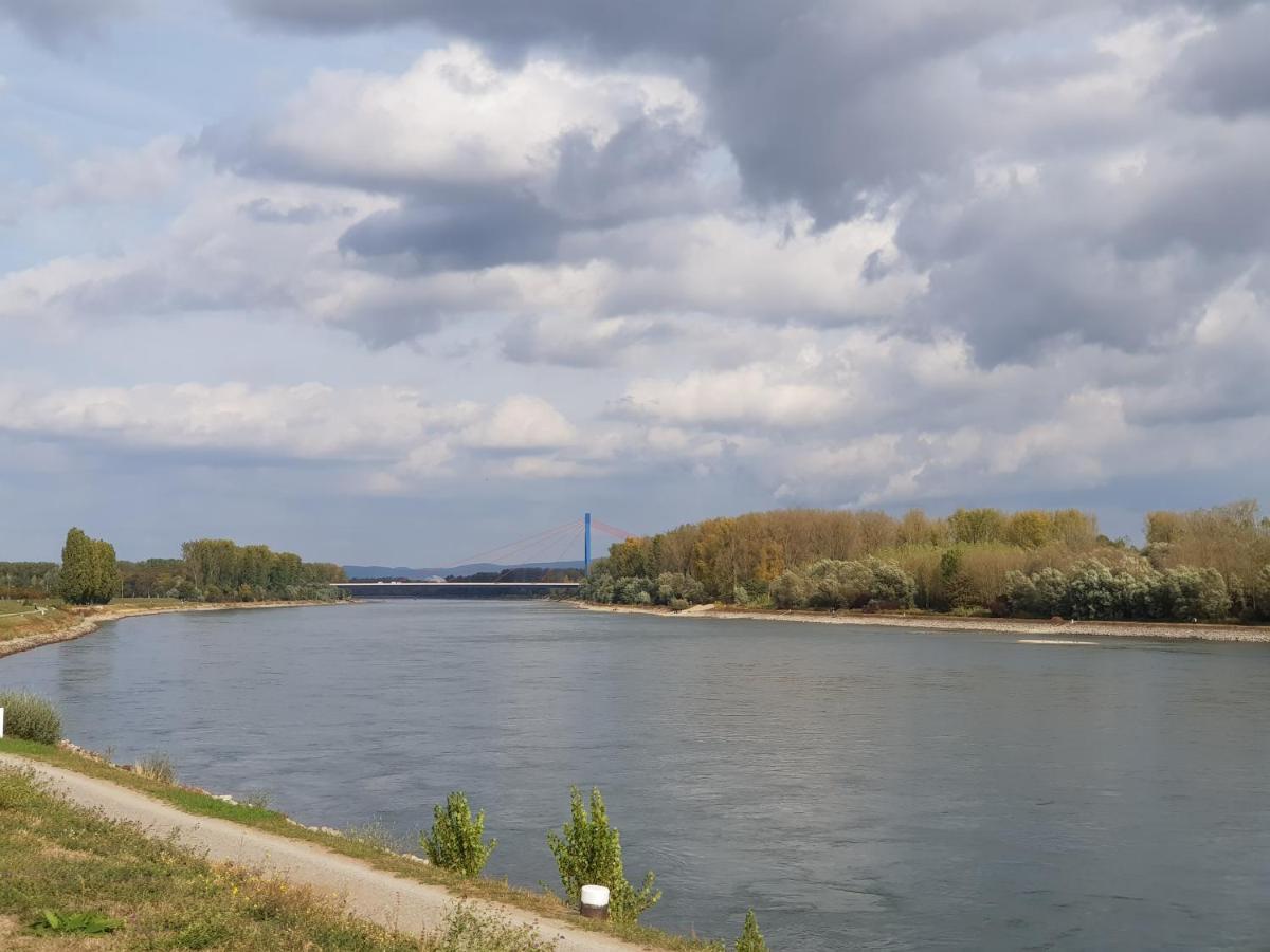 Апартаменты Wohnen Direkt Am Rhein, Zentrums- Und Domnah, 55Qm Шпейер Экстерьер фото